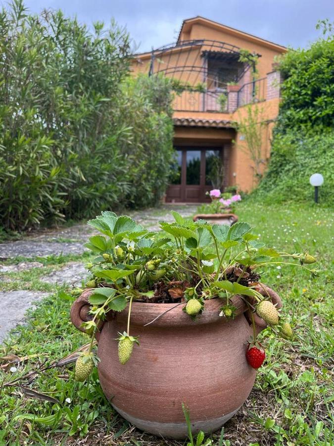 Dolceturismo Fontecaime...relax...